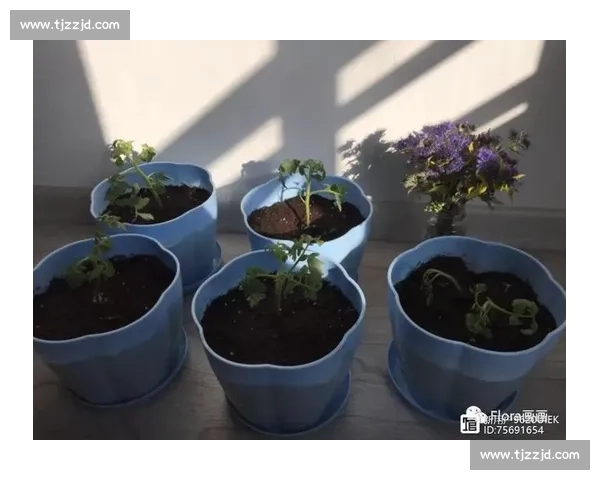 闲记：热爱，是生活最暖的答案